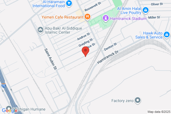 Hanley International Academy