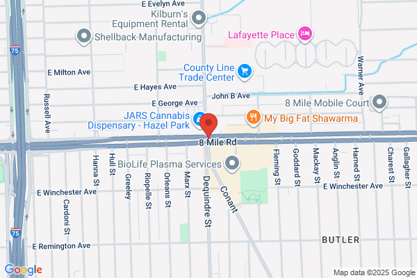Eight Mile Dequindre Amoco