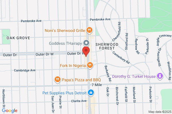 Cleaners At Livernois & W Outer Drive the