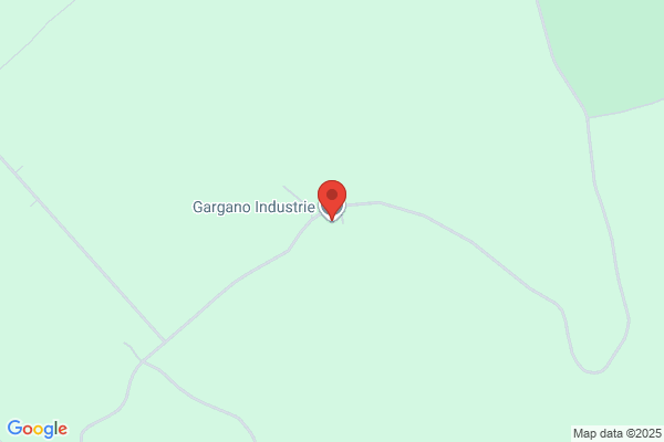 Gargano Industries Inc