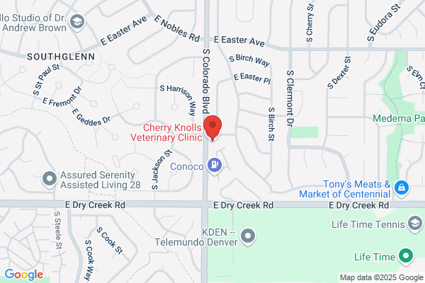 Cherry Knolls Veterinary Clnc