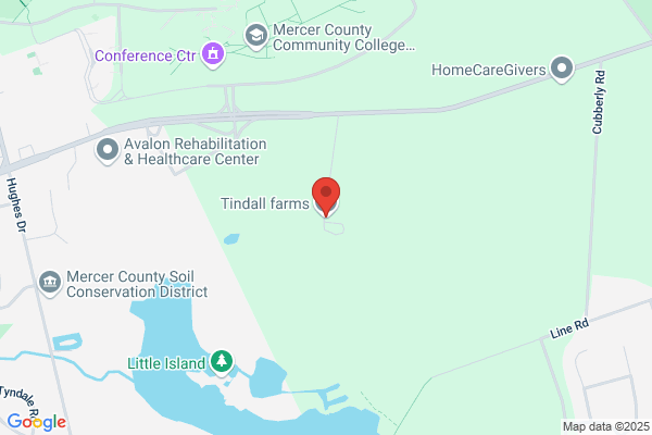 Tindall Homes
