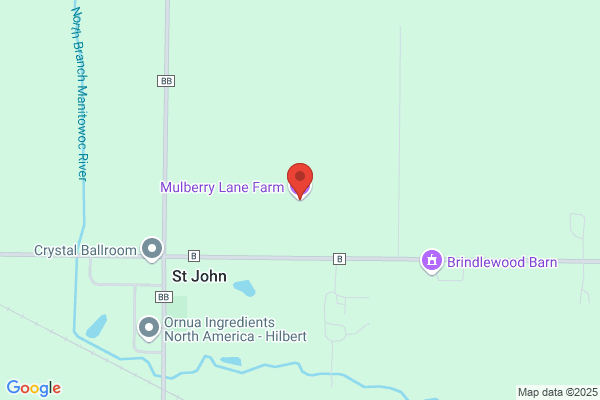 Mulberry Lane Farm
