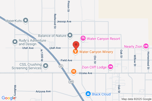 Zion's Way Home Health & Hospice - Hildale