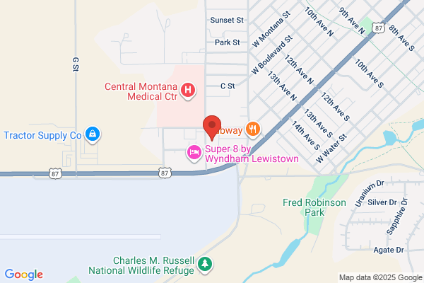 Snowy Lanes