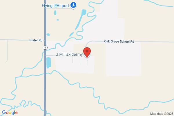 J & M Taxidermy