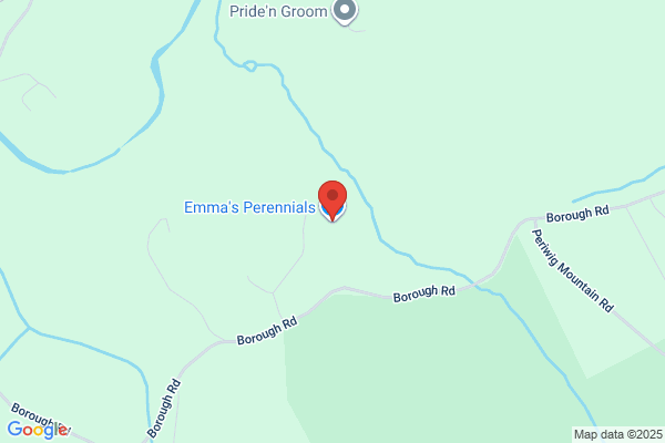 Emma's Perennials
