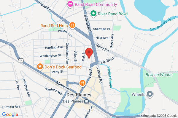 Mark Levy DDS
