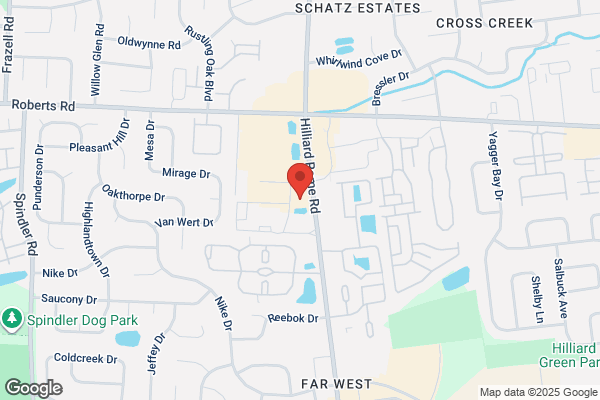 Fifth Third Preferred - Randal Regoli