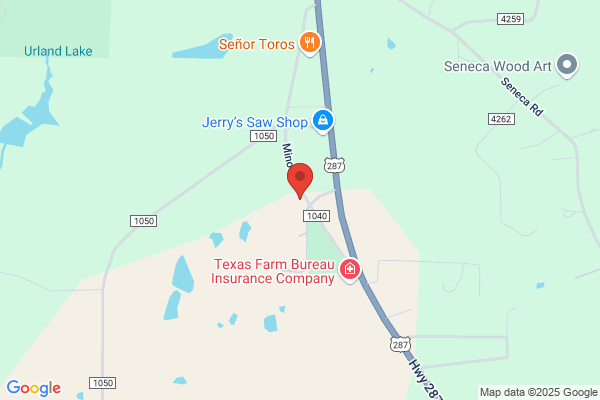 Texas Water Services Inc