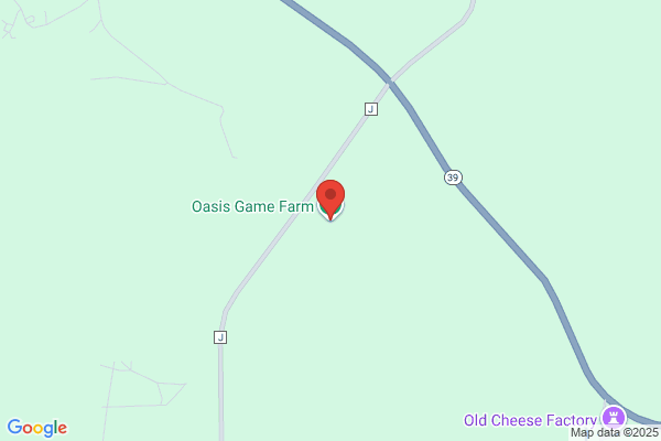 Oasis Entertainment