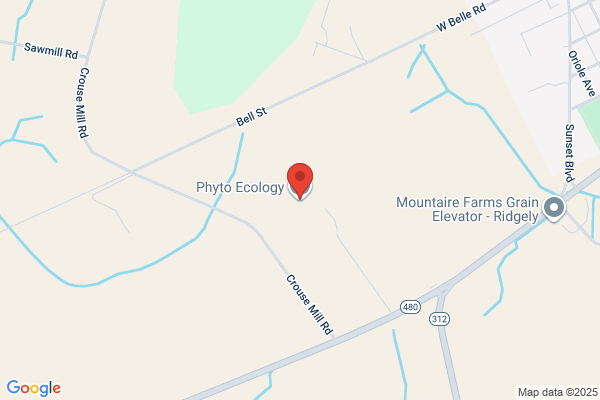 Phyto Ecology