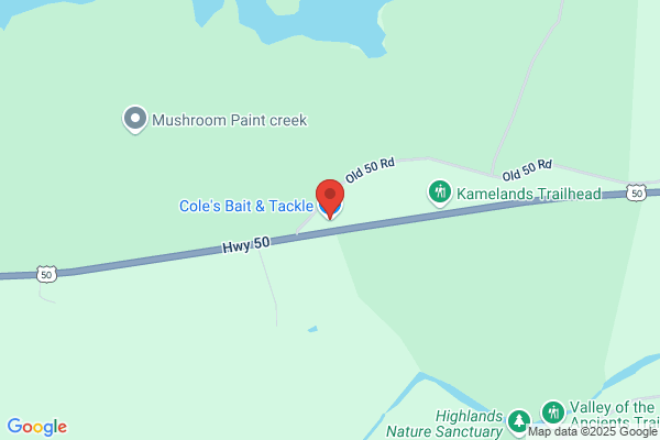 Cole's Bait & Tackle