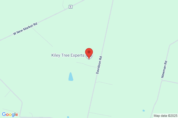 A-1 Tree Service