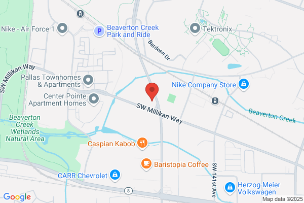 Abhiruchi South & North Indian Cuisine