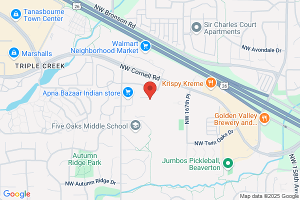 Northwest Surveying Inc