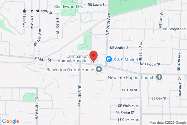 Companion Animal Hospital