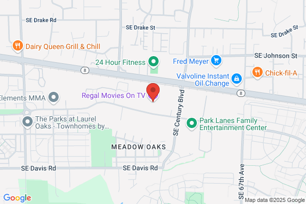 Hollywood Video