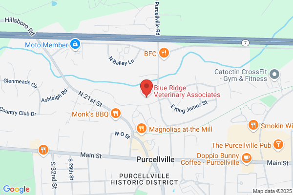 Blue Ridge Veterinary Associates