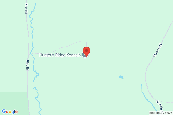 Hunters' Ridge Kennels