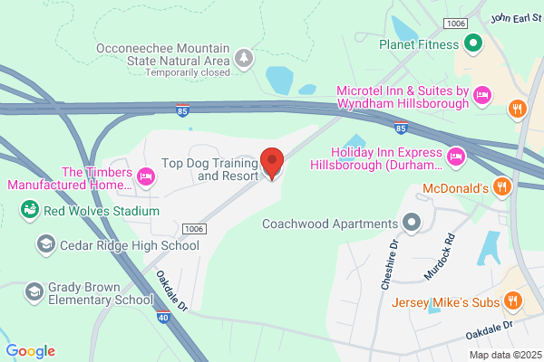 Top Dog Training and Resort