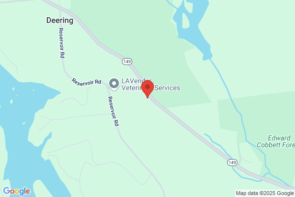 Deering Town of, Fire Dept