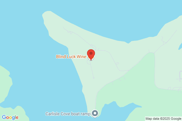 Blind Luck Inc
