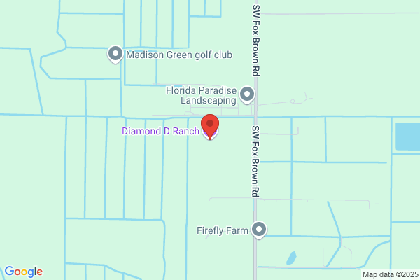 Diamond DD Ranch