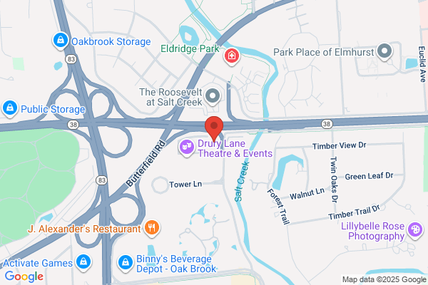 Hilton Garden Inn Chicago/Oakbrook Terrace
