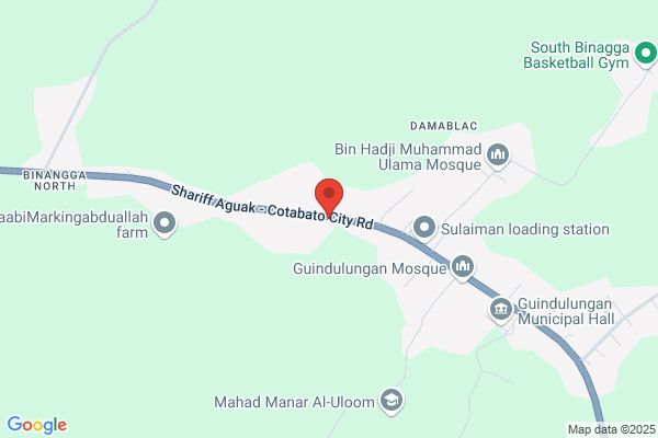 Ali Abdullah Inc & Gas Station