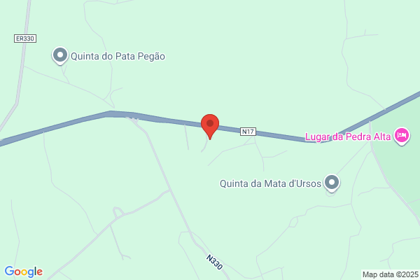 Fonte DOS Namorados Inc