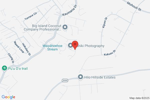 Hilo Courier Service