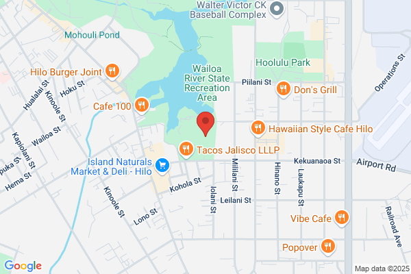 Hilo Limo Service