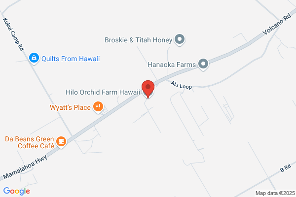 Hawaii Hybrids Llc