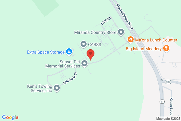 Hawaii Paper Products Inc