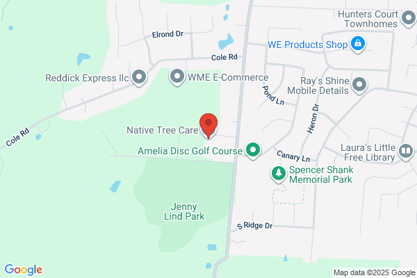 Native Tree Trimming LLC
