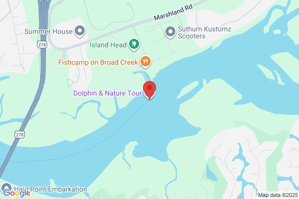 Dolphin & Nature Tour