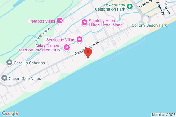 Ocean Front HHI - Hilton Head Real Estate