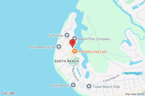 The Wreck of the Salty Dog