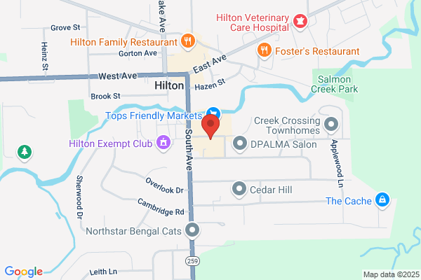 Kronys Pizza Etc, Hilton