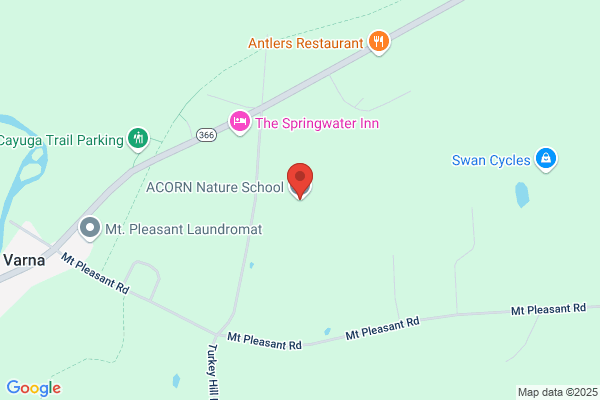 Little Acorn Nursery School