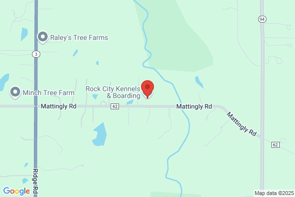 Rock City Kennels & Boarding