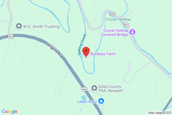 Buckeye Farms