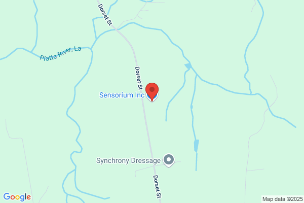 Sensorium Inc