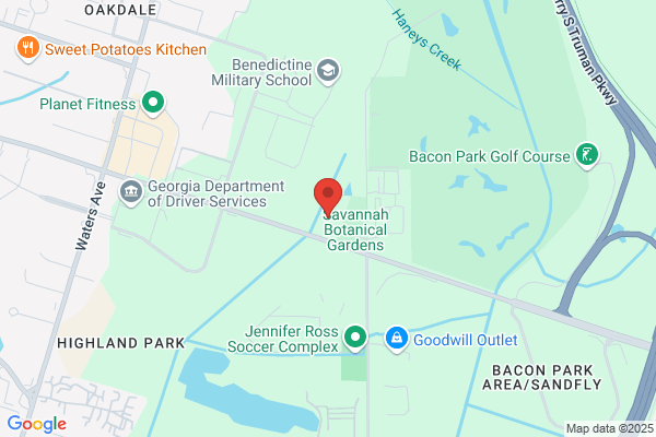 Hospice Savannah Inc