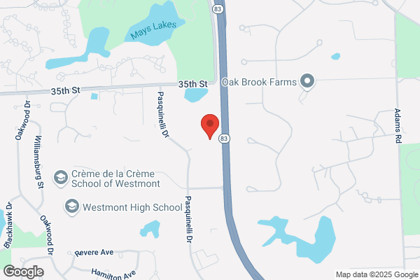 IBJI  Physical Therapy - Westmont