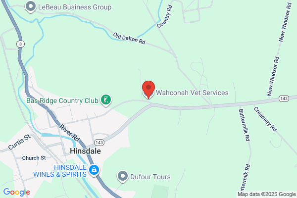 Wahconah Vet Services