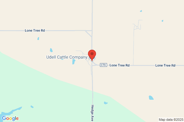 Udell Trucking Inc