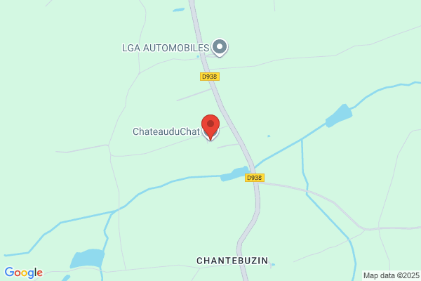 Chateau Du Chat
