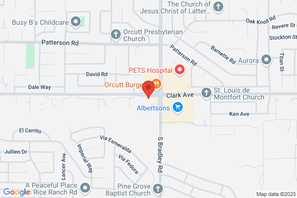 Castle Dental & Orthodontics